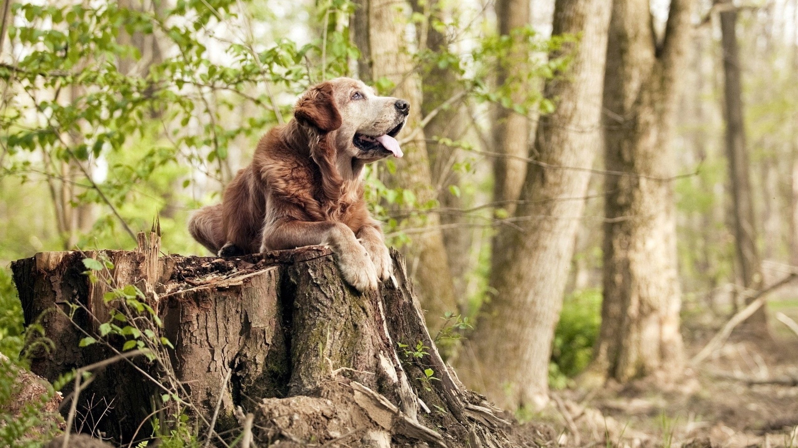 kaiyun开云·官方网站-全国自行车锦标赛，速度与耐力的比拼，自行车国家锦标赛